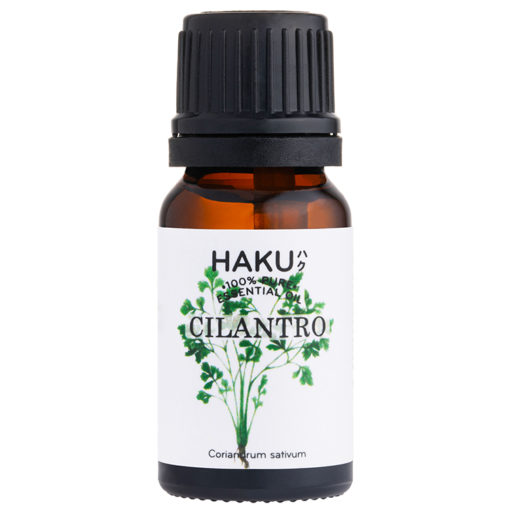 cilantro essential oil