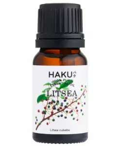 litsea essential oil